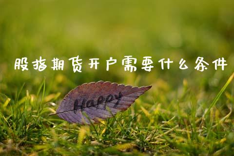 股指期货开户需要什么条件_https://www.gzshoujun.com_期货直播_第1张